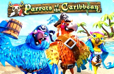 Top Slot Game of the Month: Parrots Feature Image