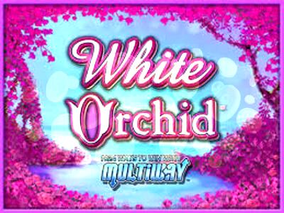 Top Slot Game of the Month: White Orchid Slot