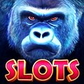 Enter a world of daily rewards on slots & more