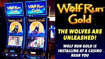 Wild Streak Gaming Slot