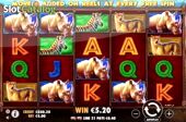 Safari King Slot